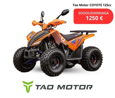 Tao Motor Coyote 125cc