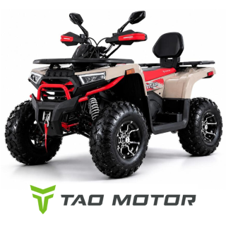 ATV TITAN 250 T3b (tänavalegaalne)