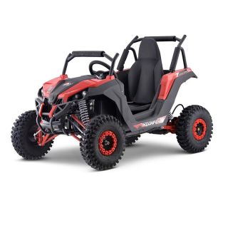 Laste Bagi Go Kart 1200W 48V punane