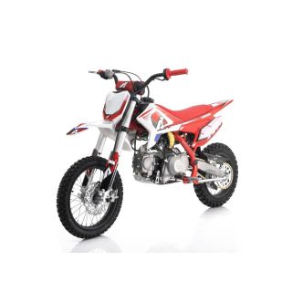 Pit Bike Premium Thunder 110cc 14-12 poolautom. elektri starter