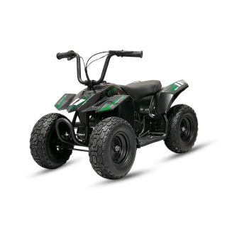 Laste ATV Mini Quad 250W 24V