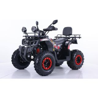 Tao Motor Zanluer 250