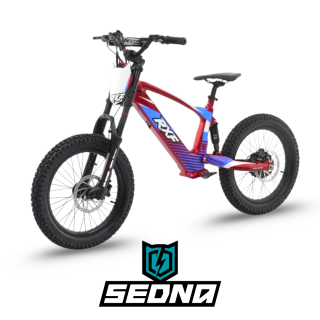 Laste tasakaaluratas Sedna EVO Racing 18 500W