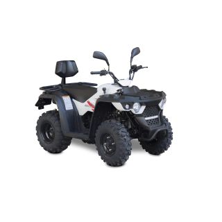 Linhai-Yamaha 150cc 2x4 SR karb. T3b