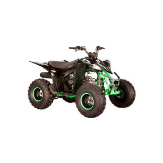 Pentora 110cc CVT, 1 edasi + 1 tagasi