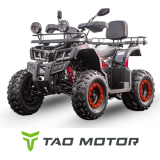 Tao Motor Zanluer 250