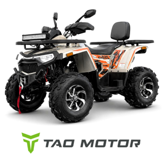 TAO MOTORS SHARK III 250 CVT RS10