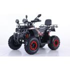 Tao Motor Zanluer 250