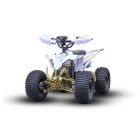 Laste ATV Premium Falcon 800W 48V