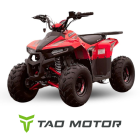 Laste ATV Mudhawk 110cc 7