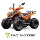 Laste ATV COYOTE 125cc 1+1 8