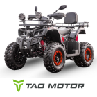 Tao Motor Zanluer 250