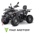Laste-noorukite ATV Maxcruiser Premium CVT 250 army green